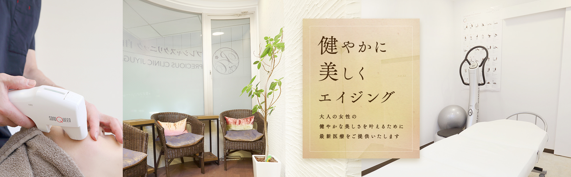 公式 プレシャスクリニック自由が丘 美容外科 美容皮膚科 皮膚科 ミラドライ